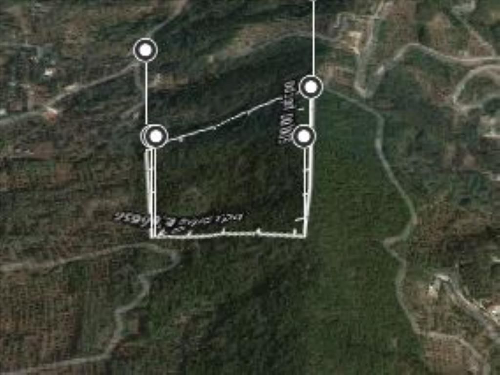 Земля на Корфу, Греция, 60 000 м² - фото 1