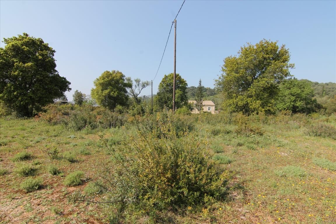 Земля на Корфу, Греция, 6 500 м² - фото 1