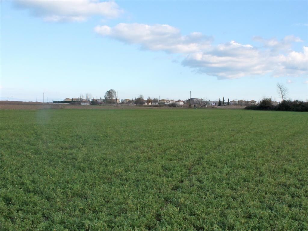 Земля в Олимпиаки-Акти, Греция, 17 000 м² - фото 2