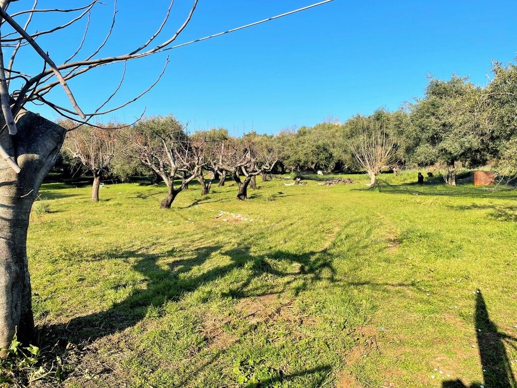 Земля на Корфу, Греция, 3 675 м² - фото 2