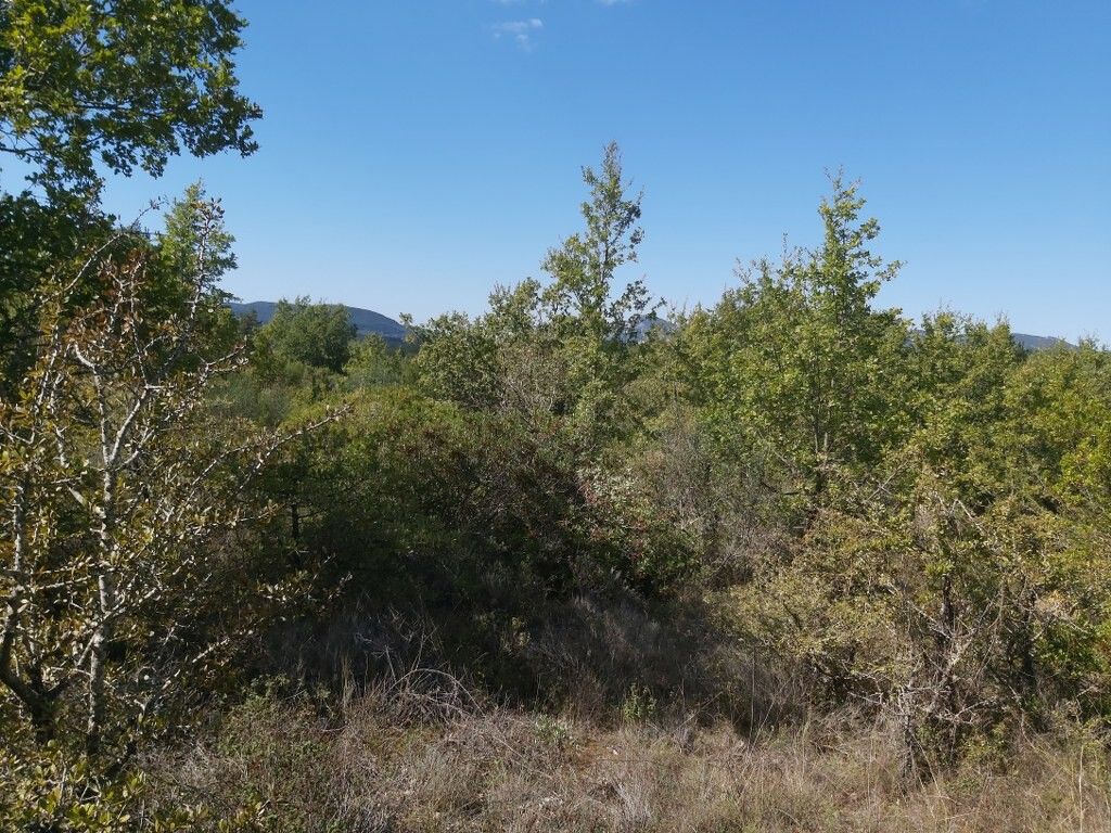 Земля на Корфу, Греция, 58 000 м² - фото 2