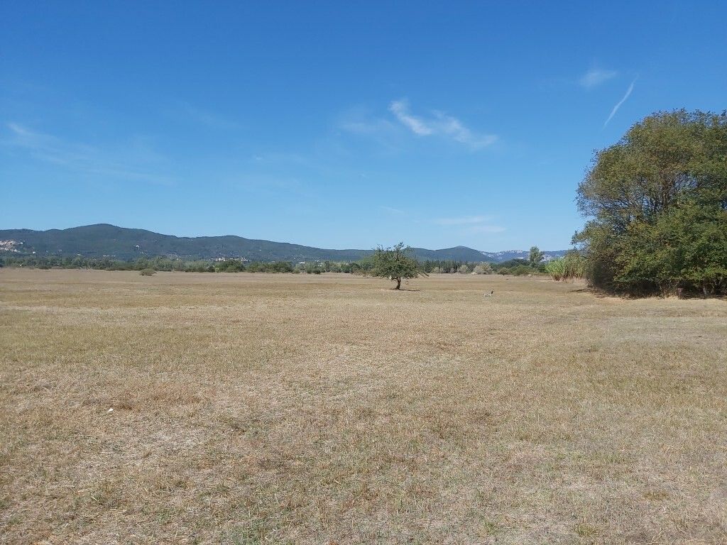 Земля на Корфу, Греция, 60 000 м² - фото 2