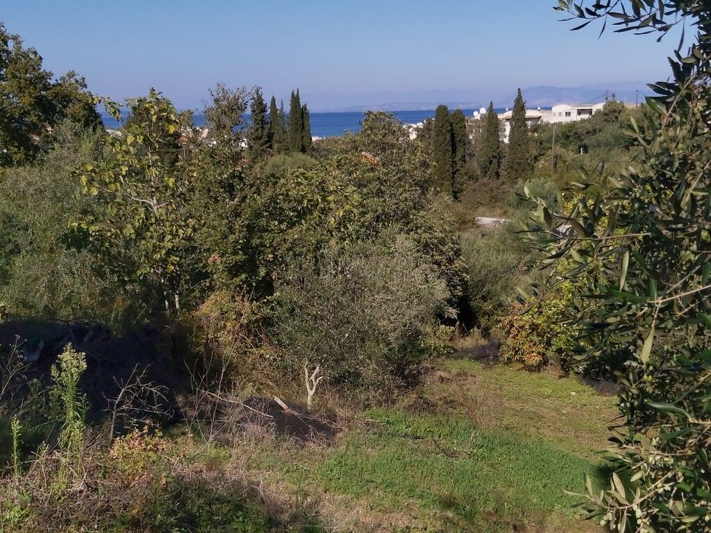 Земля на Корфу, Греция, 6 500 м² - фото 2