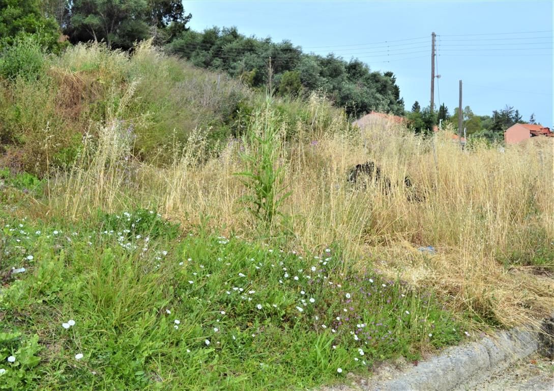 Земля на Корфу, Греция, 1 100 м² - фото 2