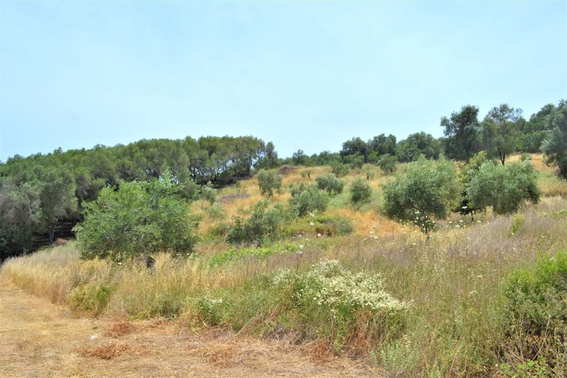 Земля на Корфу, Греция, 12 000 м² - фото 2