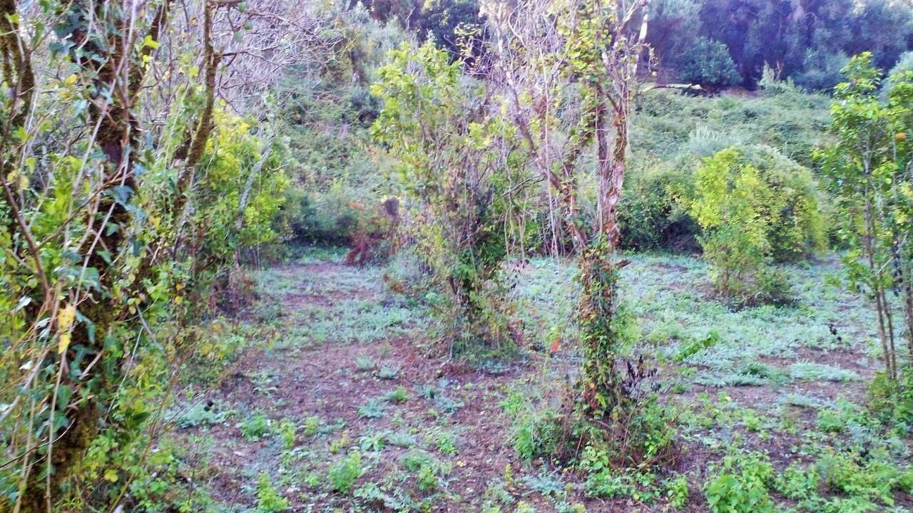 Земля на Корфу, Греция, 8 104 м² - фото 2