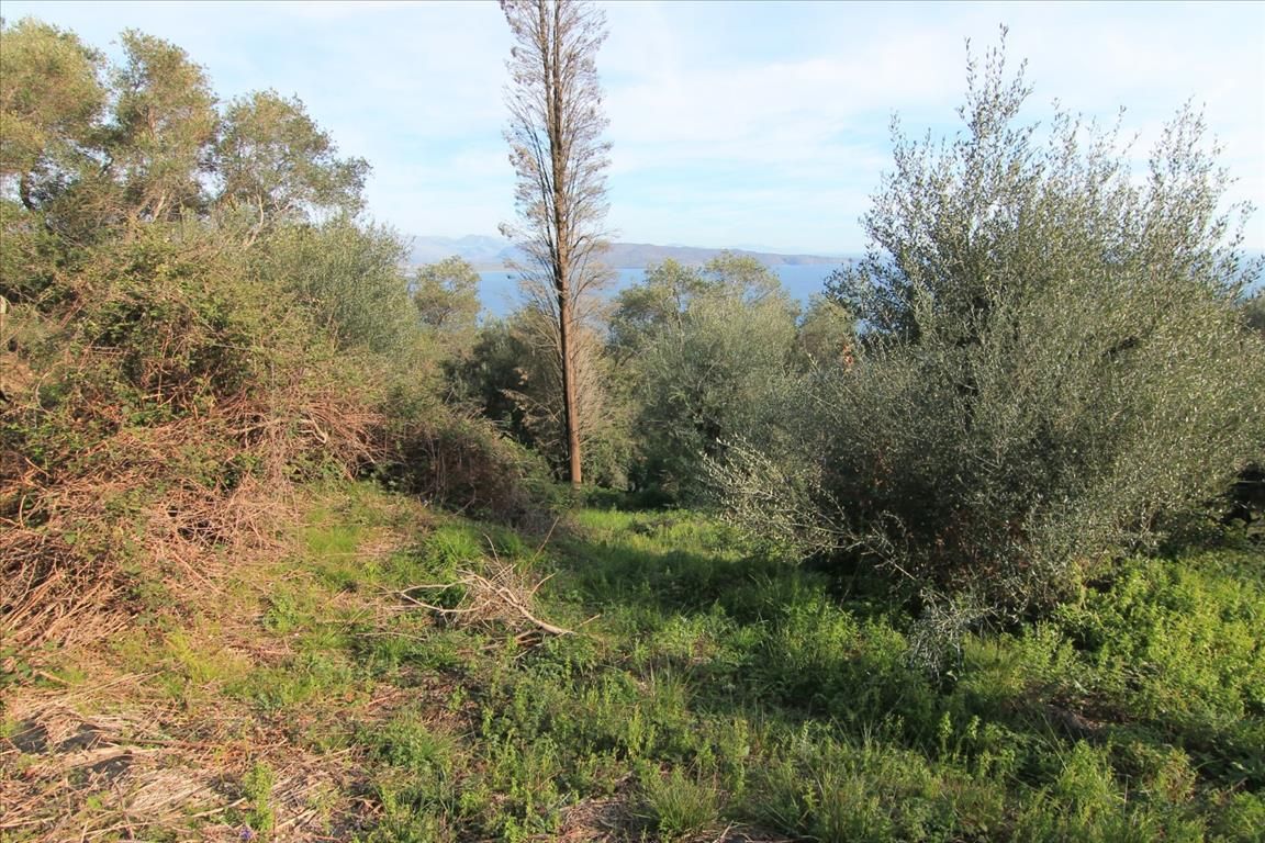 Земля на Корфу, Греция, 2 400 м² - фото 2