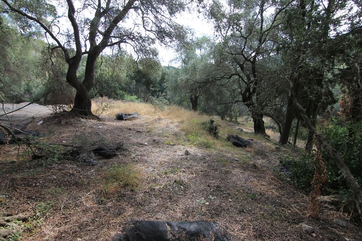 Земля на Корфу, Греция, 5 000 м² - фото 2