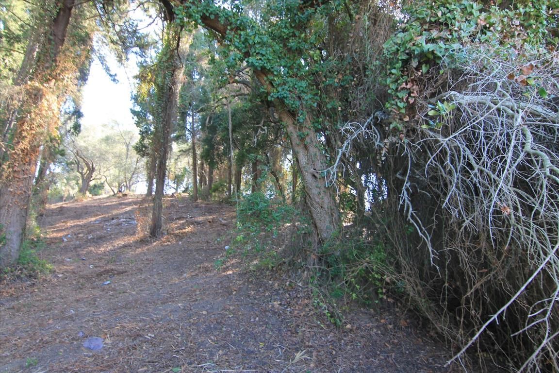 Земля на Корфу, Греция, 1 500 м² - фото 2