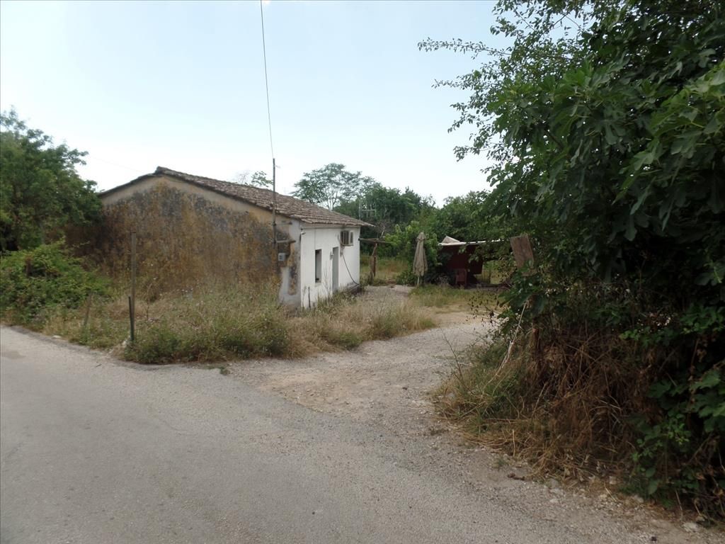 Земля на Корфу, Греция, 7 000 м² - фото 2