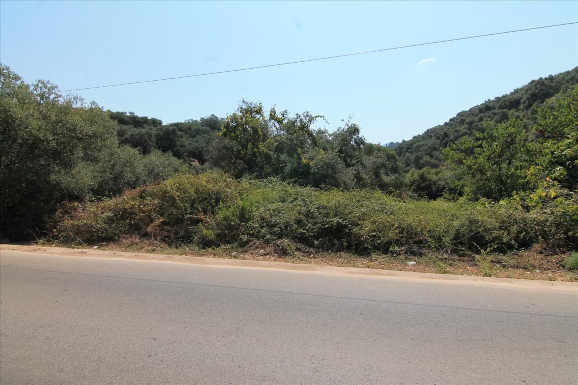 Земля на Корфу, Греция, 8 000 м² - фото 2