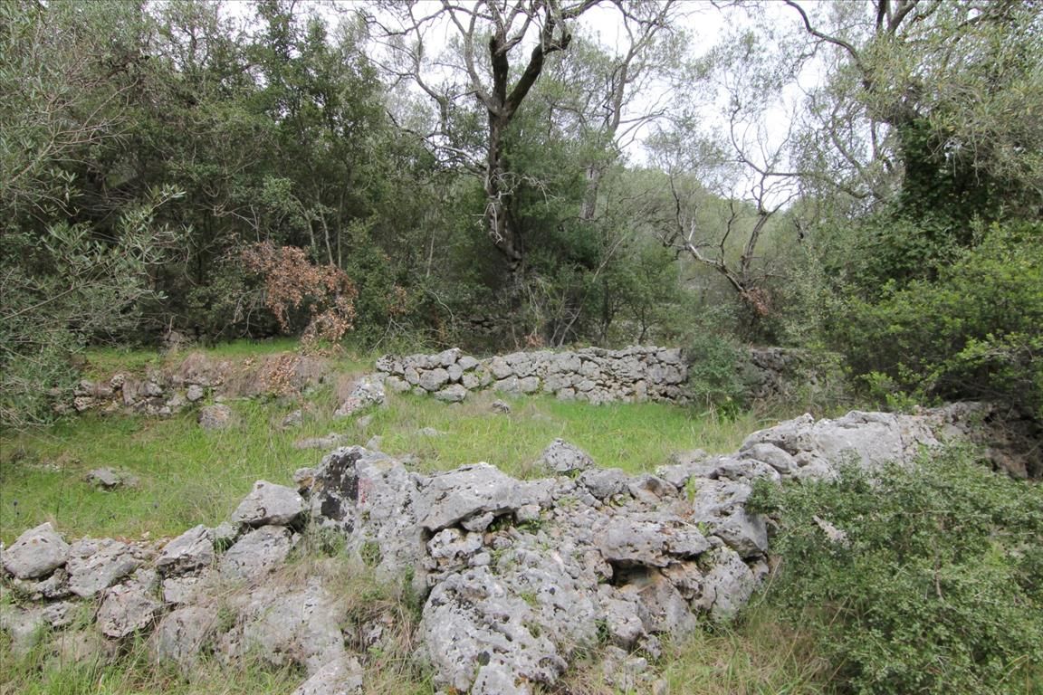 Земля на Корфу, Греция, 10 000 м² - фото 2