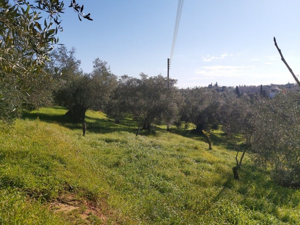 Земля на Корфу, Греция, 9 000 м² - фото 3