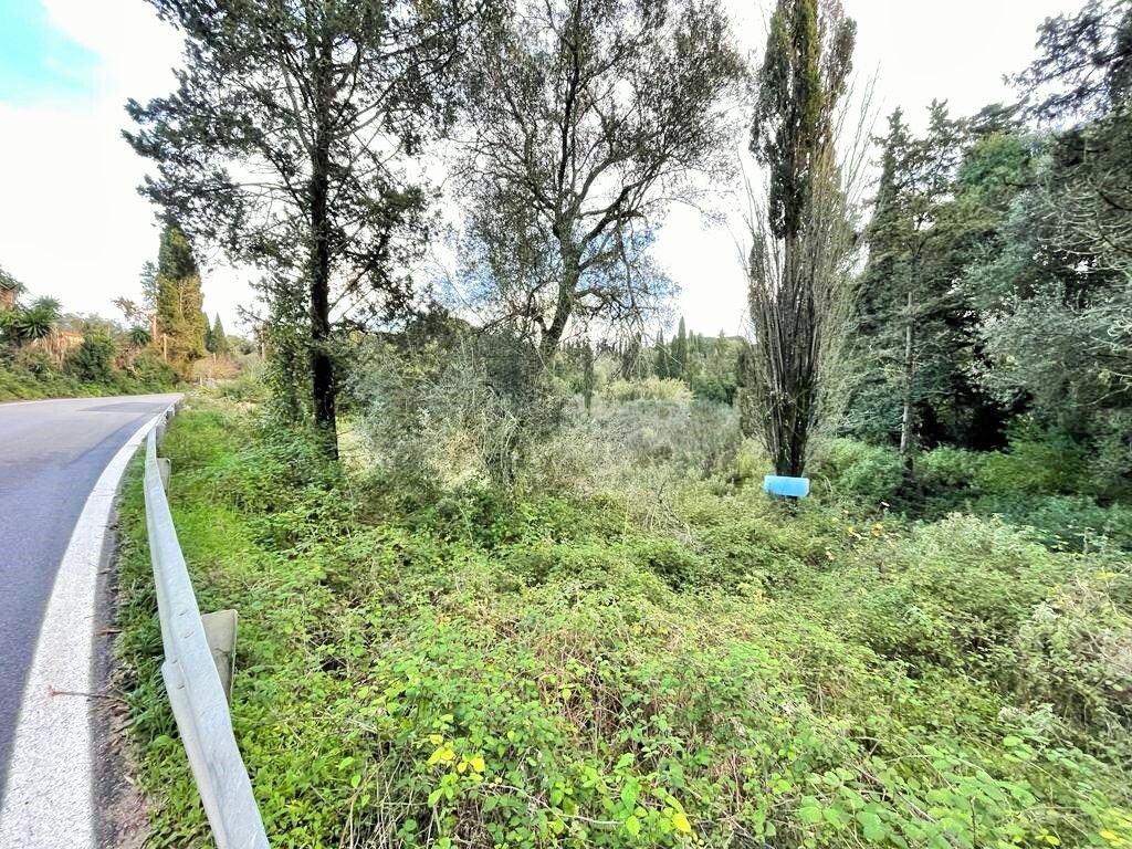 Земля на Корфу, Греция, 6 145 м² - фото 3