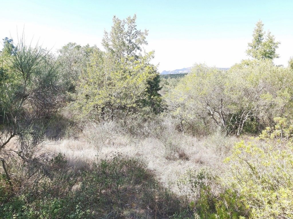 Земля на Корфу, Греция, 58 000 м² - фото 3