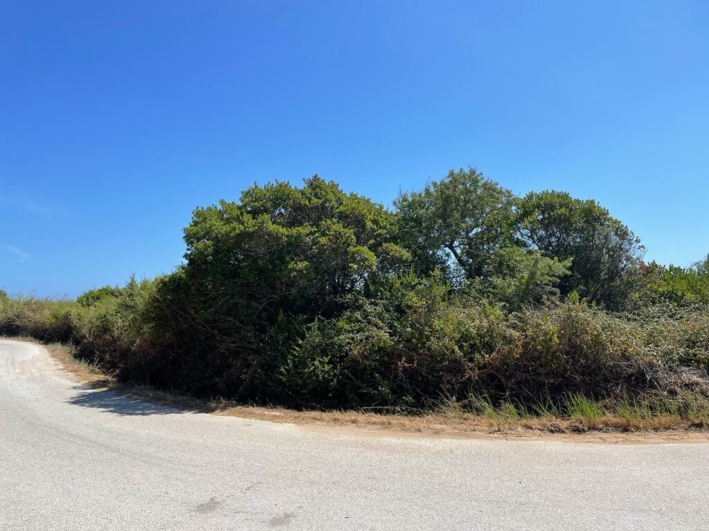 Земля на Корфу, Греция, 4 236 м² - фото 3