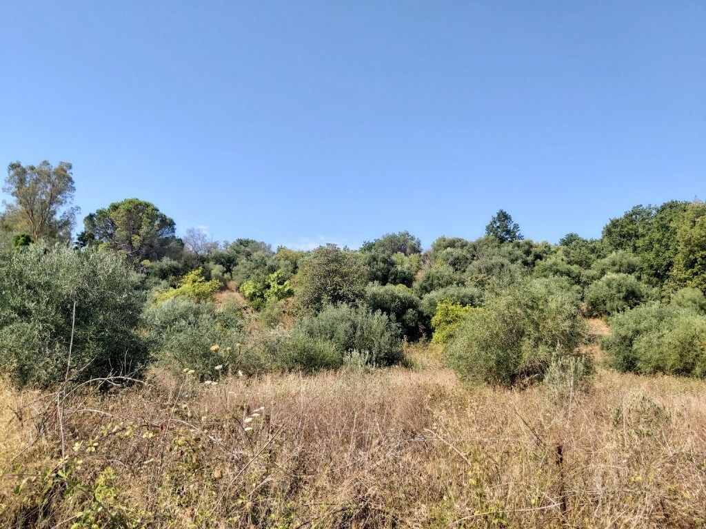 Земля на Корфу, Греция, 6 500 м² - фото 3