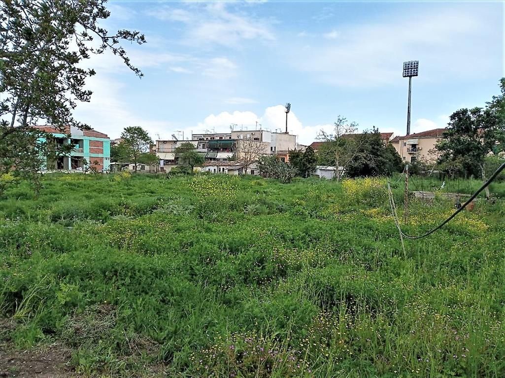 Земля на Корфу, Греция, 800 м² - фото 3