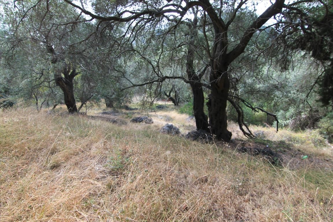 Земля на Корфу, Греция, 5 000 м² - фото 3