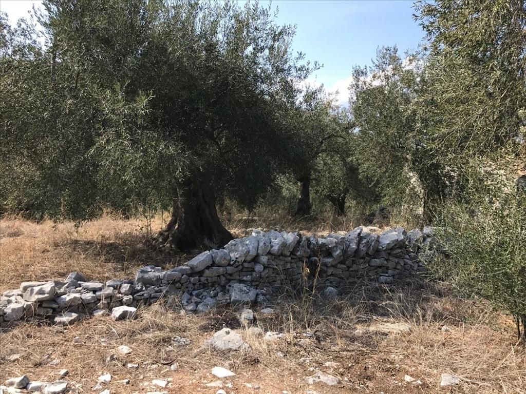 Земля на Корфу, Греция, 6 000 м² - фото 3