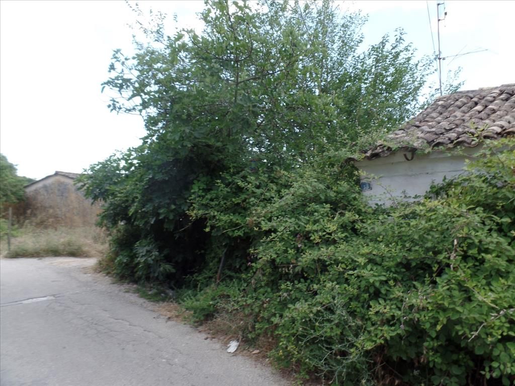 Земля на Корфу, Греция, 7 000 м² - фото 3