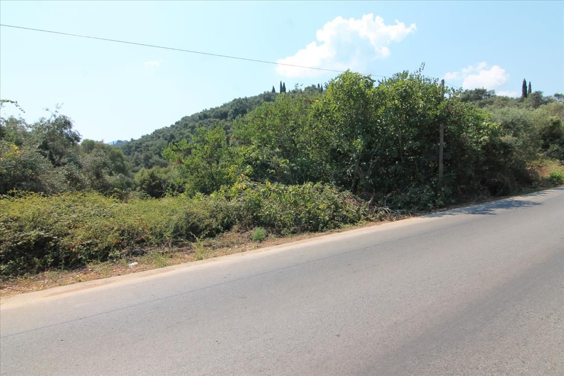 Земля на Корфу, Греция, 8 000 м² - фото 3