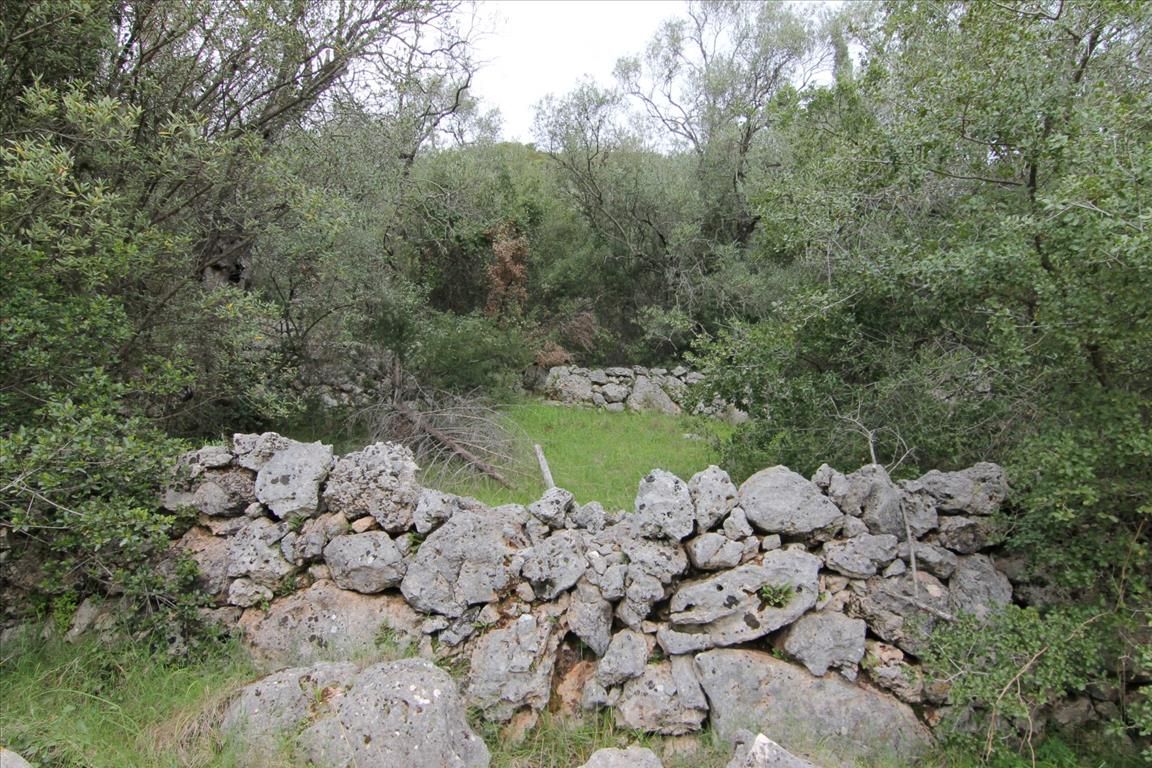 Земля на Корфу, Греция, 10 000 м² - фото 3