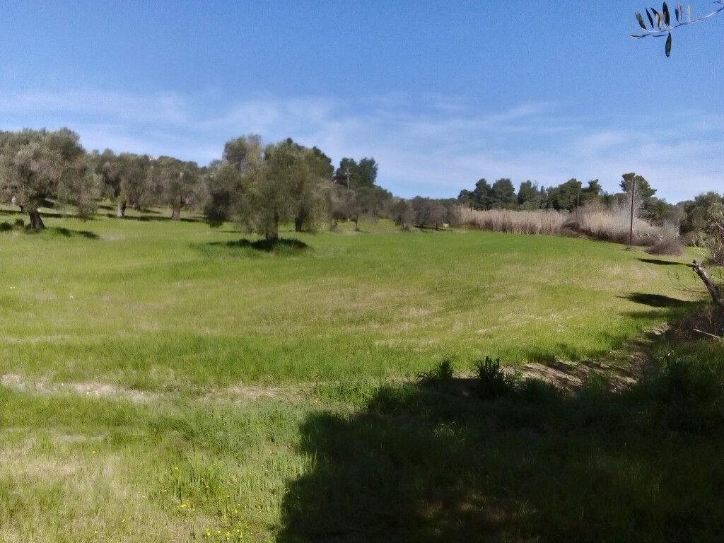 Земля на Кассандре, Греция, 18 480 м² - фото 3