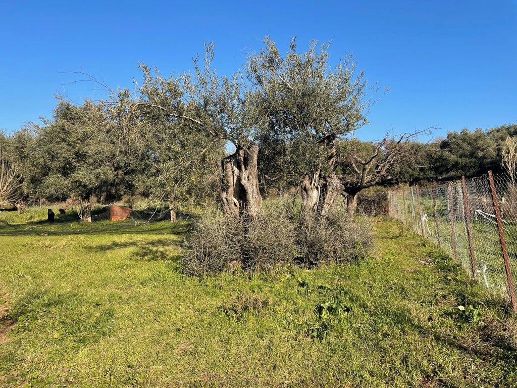 Земля на Корфу, Греция, 3 675 м² - фото 4