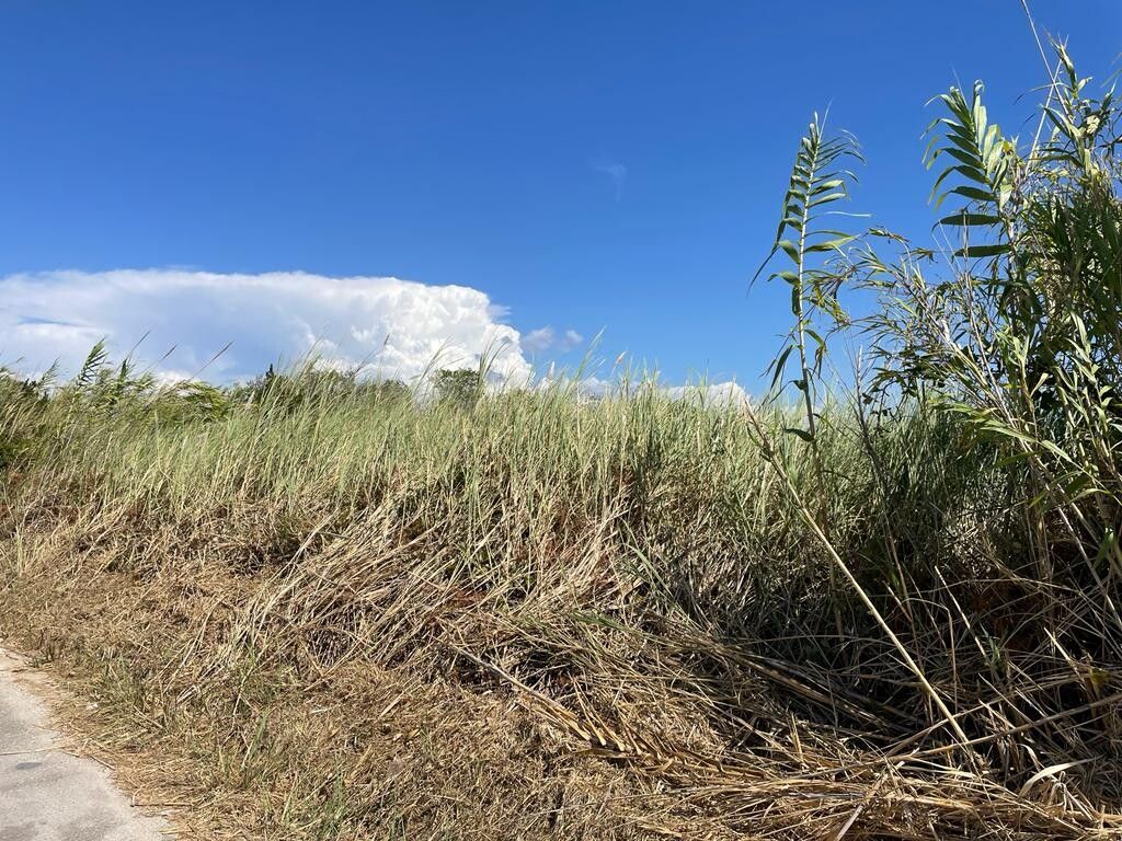 Земля на Корфу, Греция, 4 236 м² - фото 4