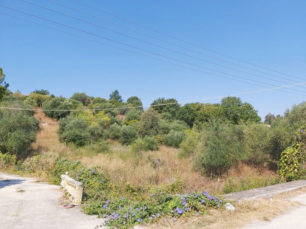 Земля на Корфу, Греция, 6 500 м² - фото 4