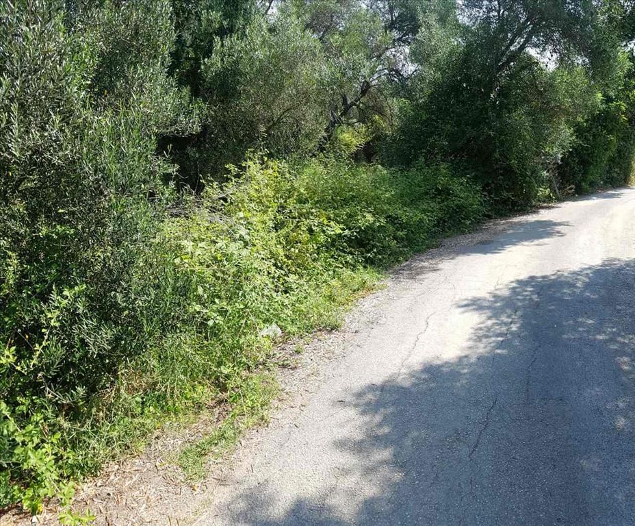 Земля на Корфу, Греция, 4 000 м² - фото 4