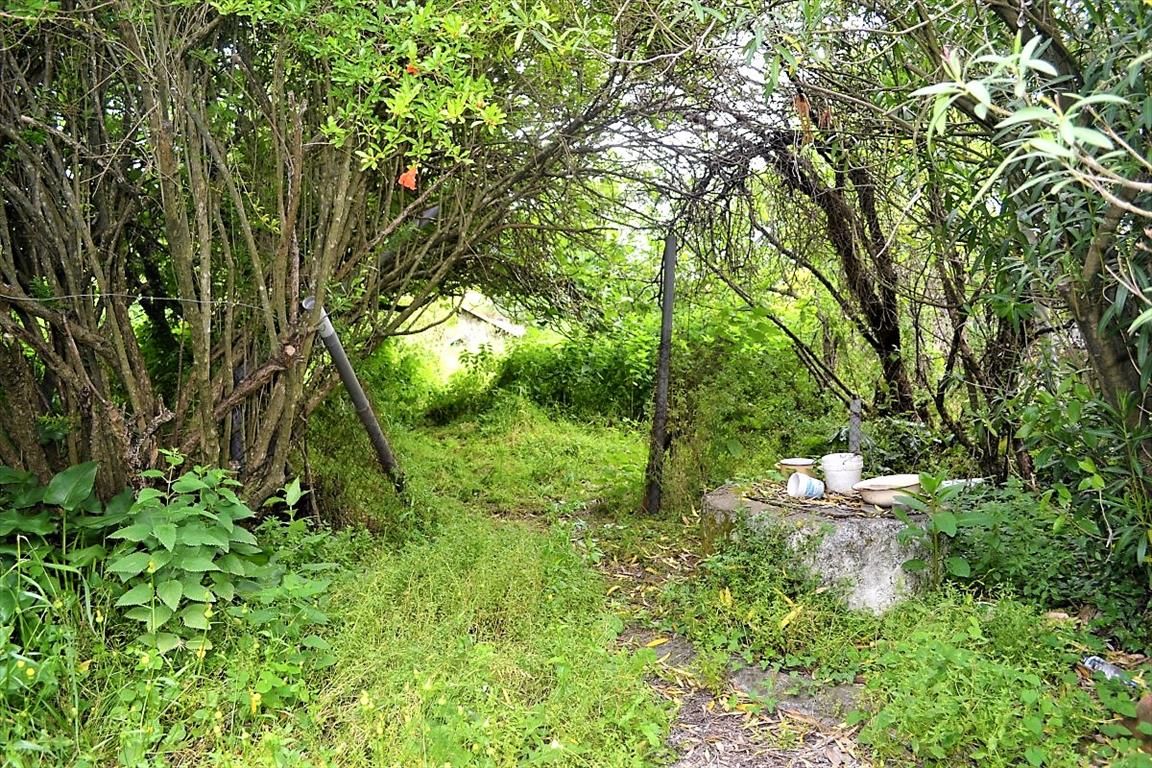 Мезонет на Корфу, Греция, 72 м² - фото 4