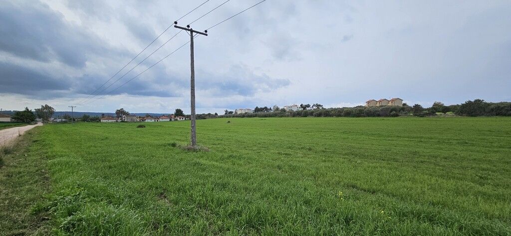 Земля на Кассандре, Греция, 55 000 м² - фото 4