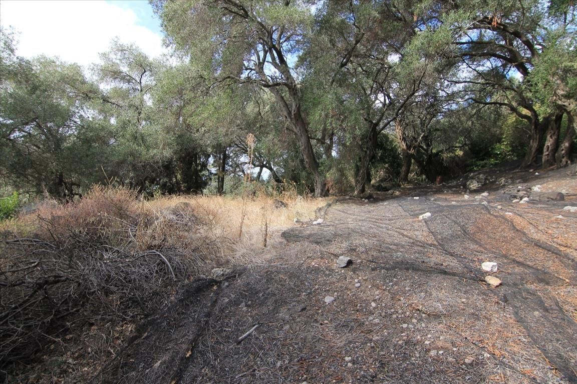 Земля на Корфу, Греция, 5 000 м² - фото 4