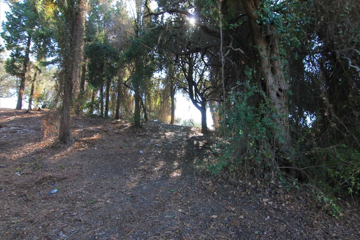 Земля на Корфу, Греция, 1 500 м² - фото 4