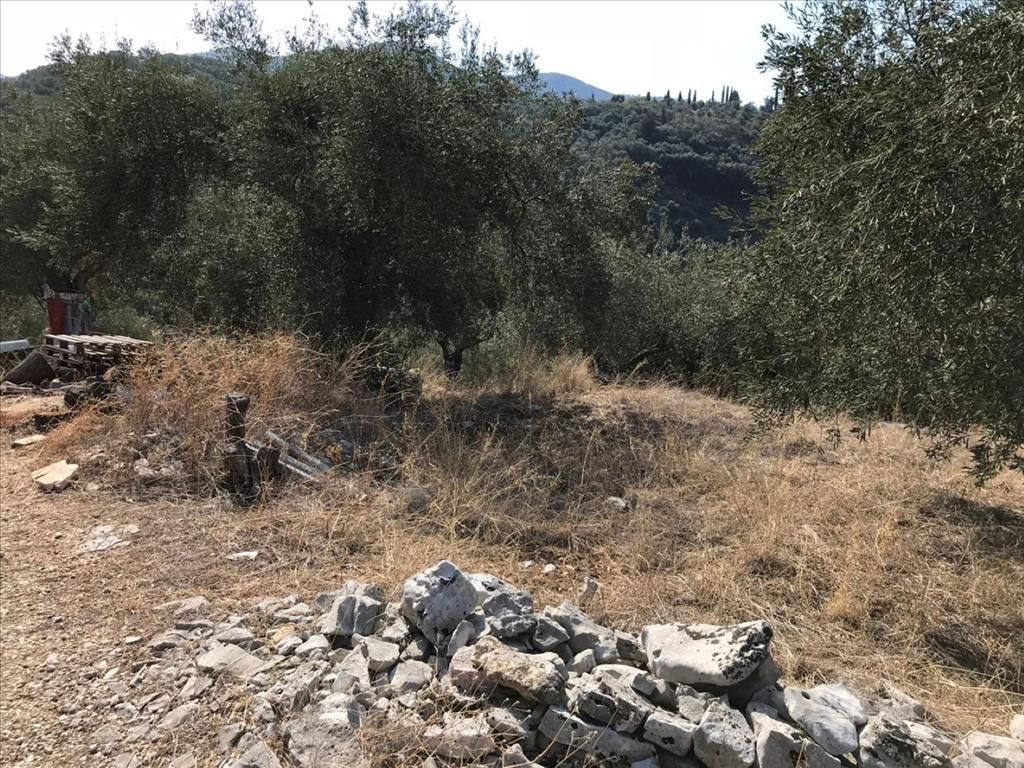 Земля на Корфу, Греция, 6 000 м² - фото 4