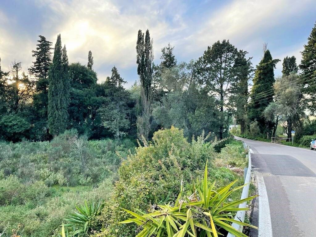 Земля на Корфу, Греция, 6 145 м² - фото 5