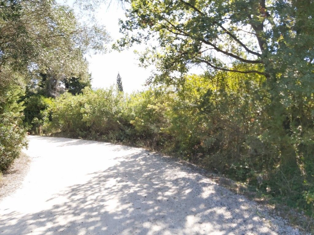 Земля на Корфу, Греция, 58 000 м² - фото 5
