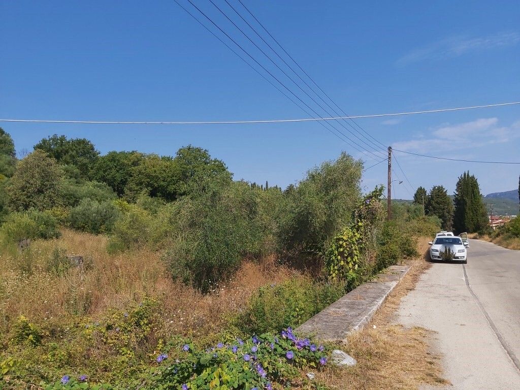 Земля на Корфу, Греция, 6 500 м² - фото 5