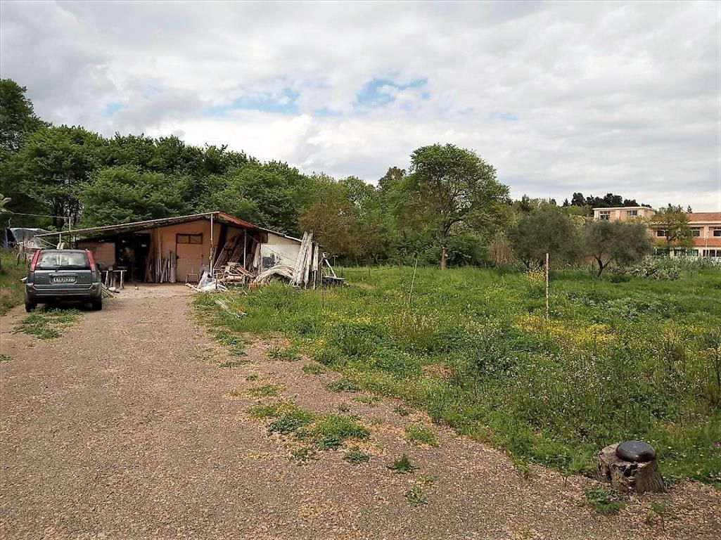 Земля на Корфу, Греция, 800 м² - фото 5