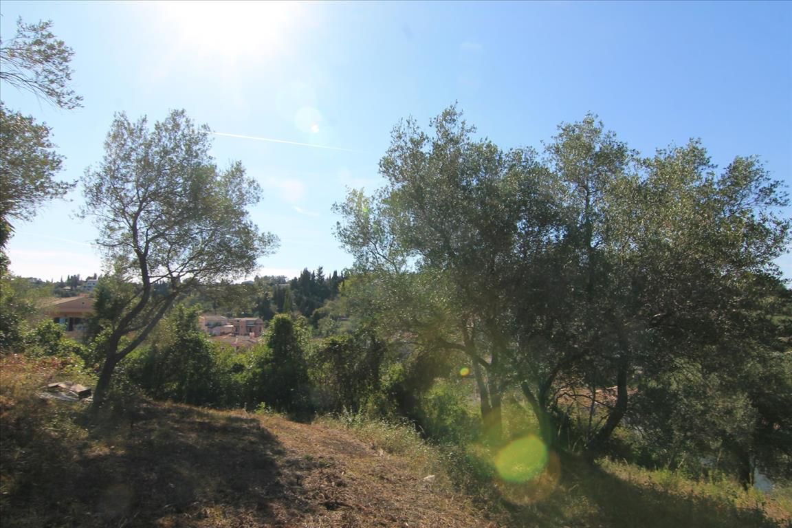 Земля на Корфу, Греция, 1 500 м² - фото 5