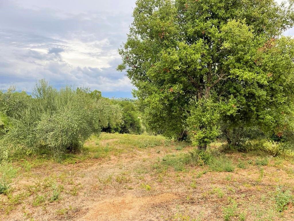 Земля на Корфу, Греция, 4 470 м² - фото 6