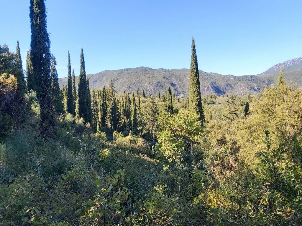 Земля на Корфу, Греция, 8 250 м² - фото 6