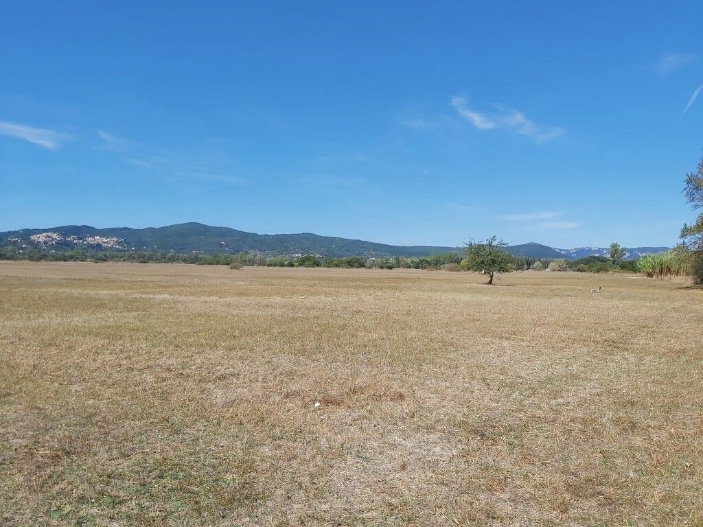 Земля на Корфу, Греция, 60 000 м² - фото 6