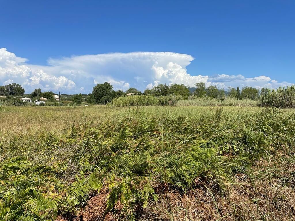 Земля на Корфу, Греция, 4 236 м² - фото 6