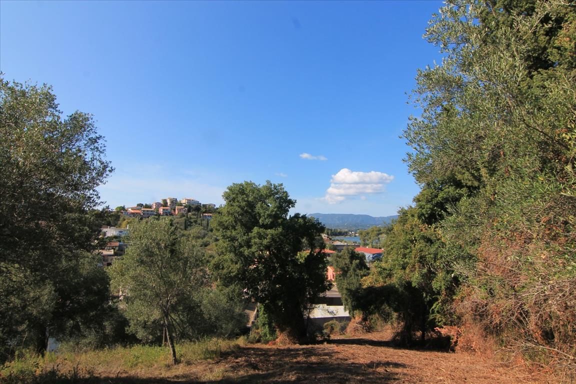 Земля на Корфу, Греция, 1 500 м² - фото 6