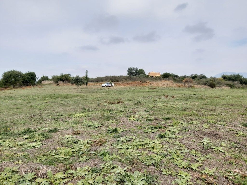 Земля на Корфу, Греция, 7 421 м² - фото 7