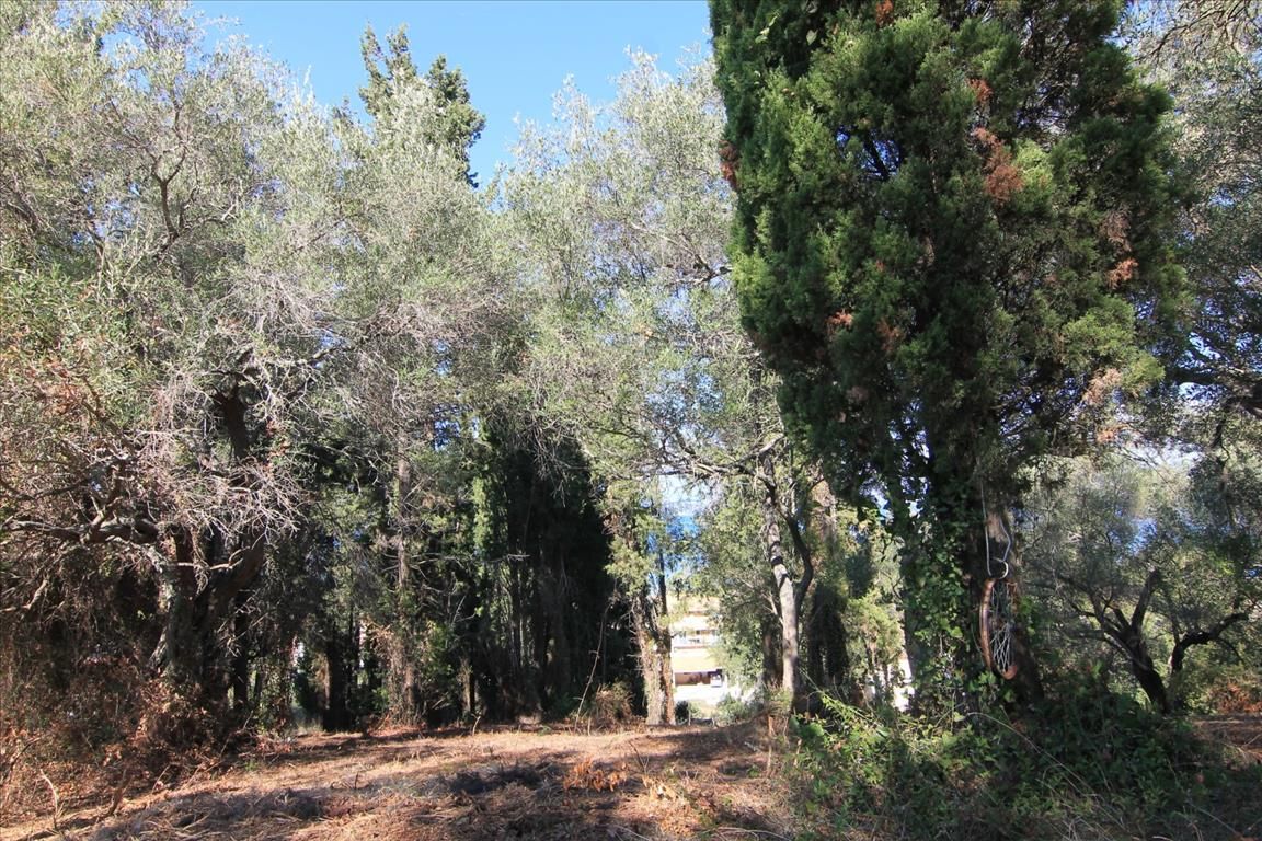 Земля на Корфу, Греция, 1 500 м² - фото 7