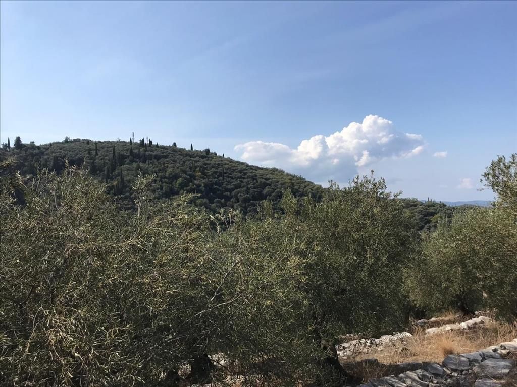 Земля на Корфу, Греция, 6 000 м² - фото 7